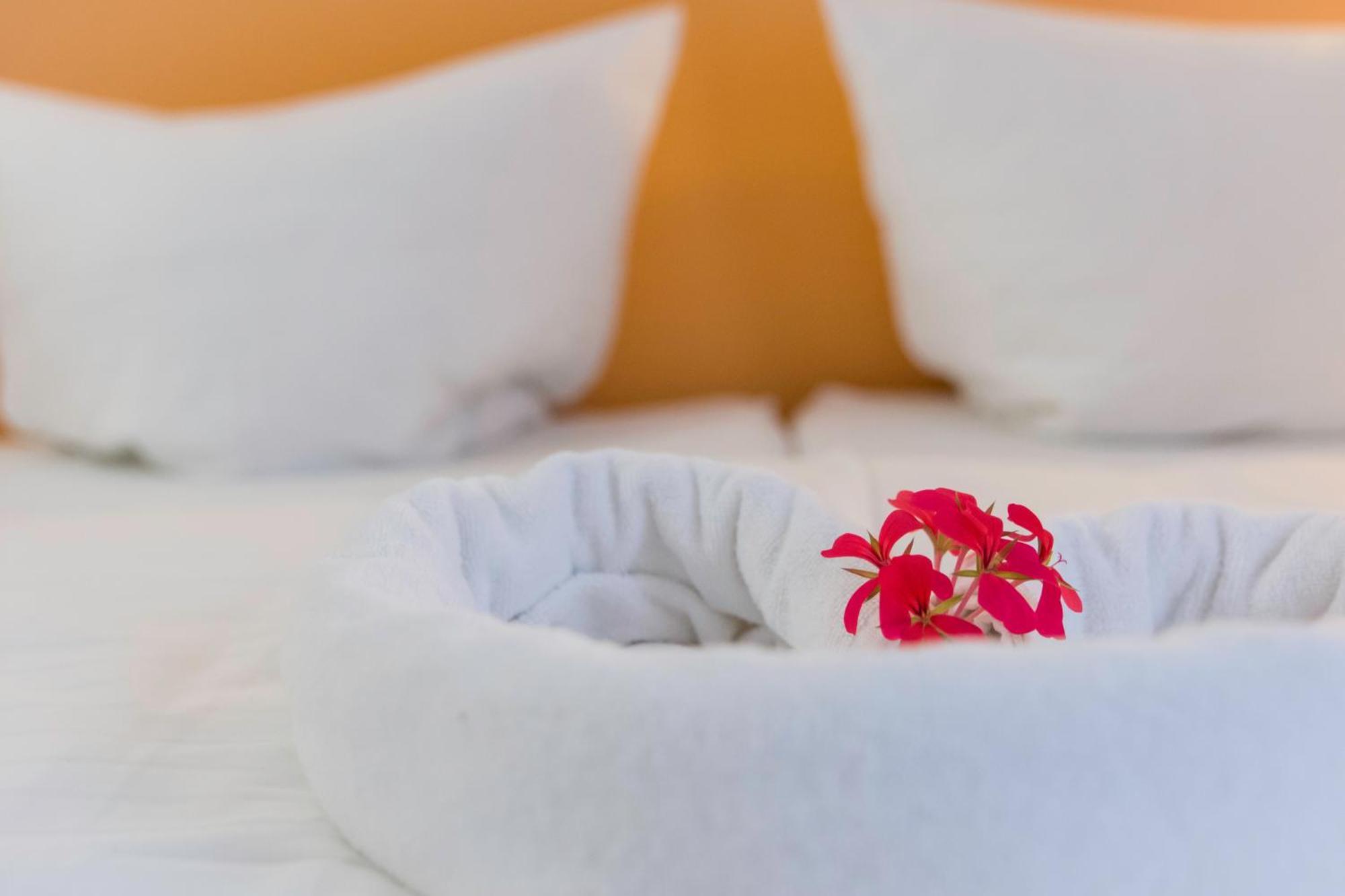 Domacija Vodnik & Apartments Cerklje na Gorenjskem Ngoại thất bức ảnh