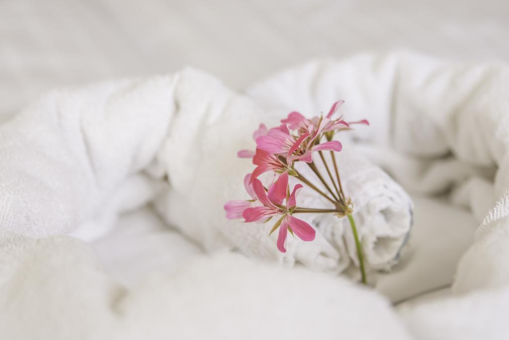 Domacija Vodnik & Apartments Cerklje na Gorenjskem Ngoại thất bức ảnh