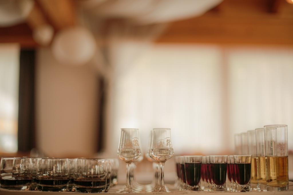 Domacija Vodnik & Apartments Cerklje na Gorenjskem Ngoại thất bức ảnh