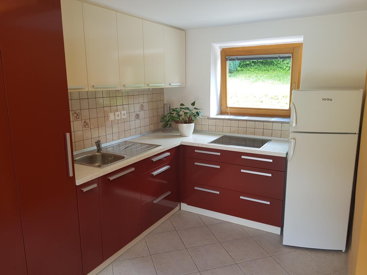 Domacija Vodnik & Apartments Cerklje na Gorenjskem Ngoại thất bức ảnh